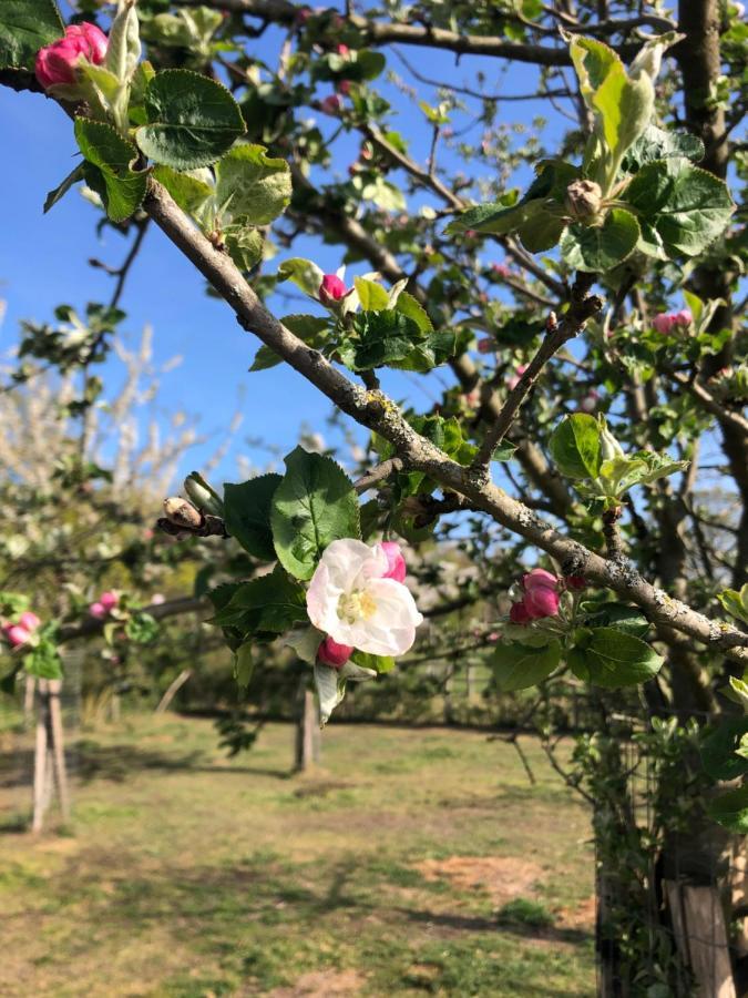 Eksel B&B De Paenhoeve מראה חיצוני תמונה